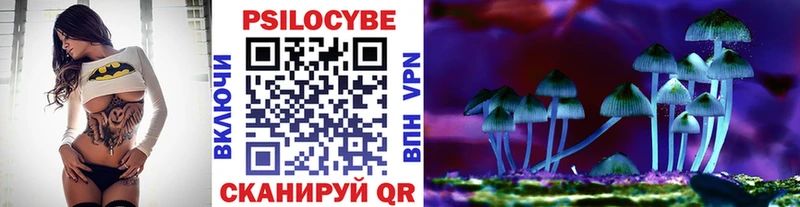 Псилоцибиновые грибы прущие грибы  наркота  Дрезна 